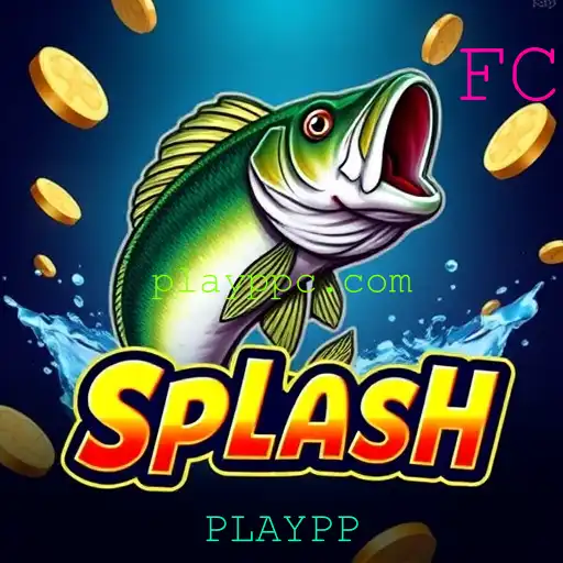 VIP Service PLAYPP - 24/7 Support and Exclusive Benefits
